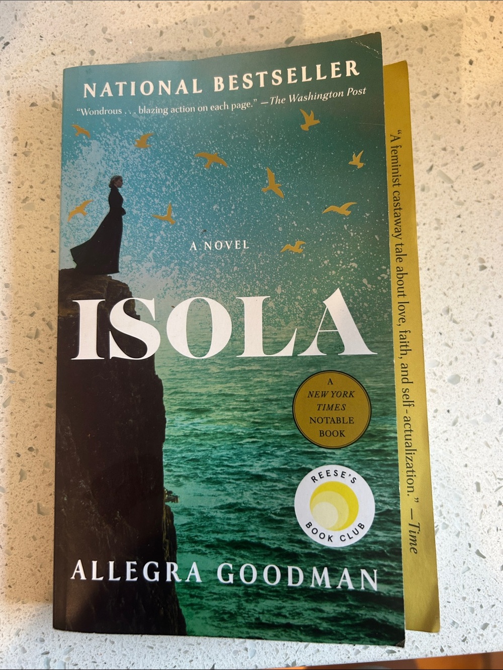 Isola by Allegra Goodman — Teal & Green Paperback Novel